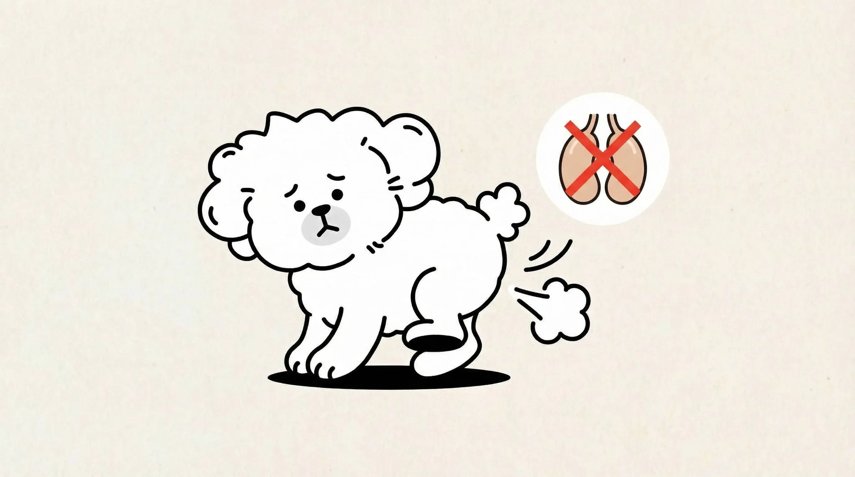 강아지 항문낭 관리