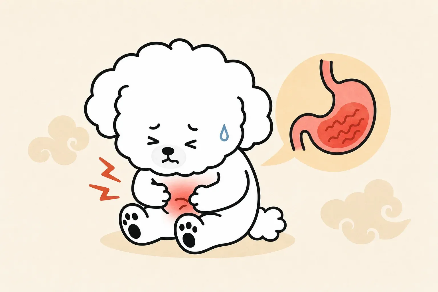 강아지 위염전