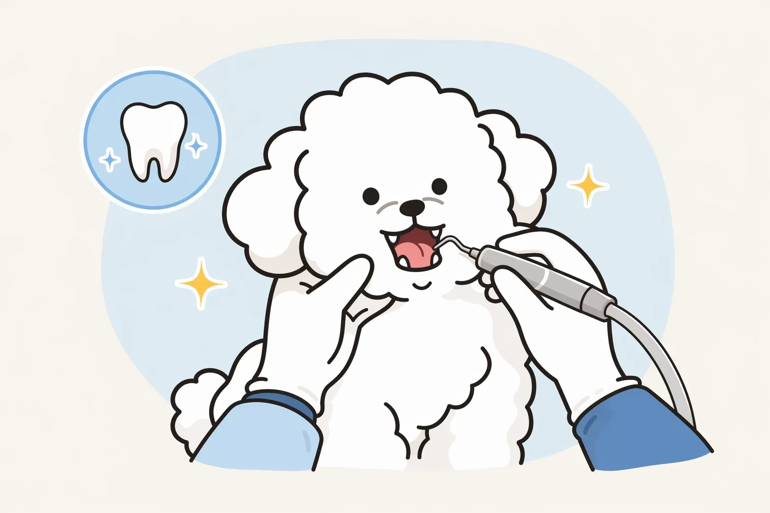 강아지 스케일링