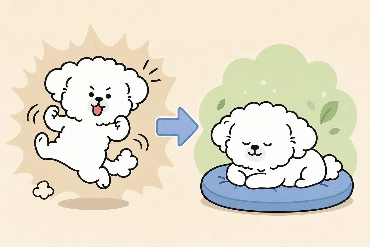 강아지 흥분 진정