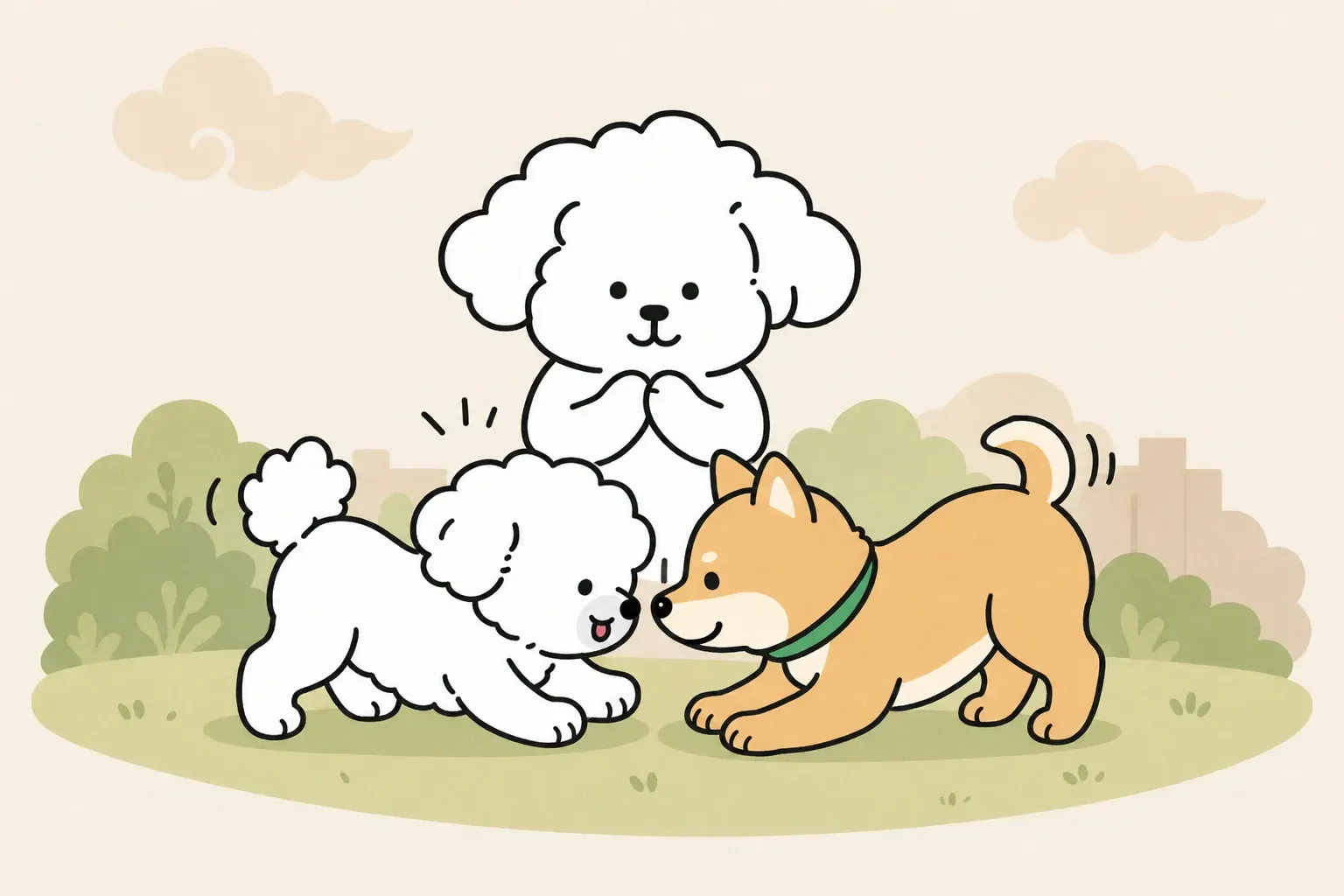 강아지 합사 방법